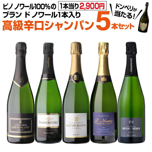 【送料無料】1本当り2,900円(税込) 高級辛口シャンパン5本セット 7弾 シャンパーニュ シャンパン シャンパンセット 飲み比べ ギフト 浜運【ポイント対象外】