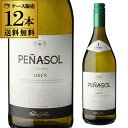 1本あたり660円(税込)送料無料 ペナソル ブランコ 1L 12本 Penasol Blanco スペイン 白ワイン セット 辛口 1,000ml 白ワインセット 長S 母の日 手土産 お祝い ギフト