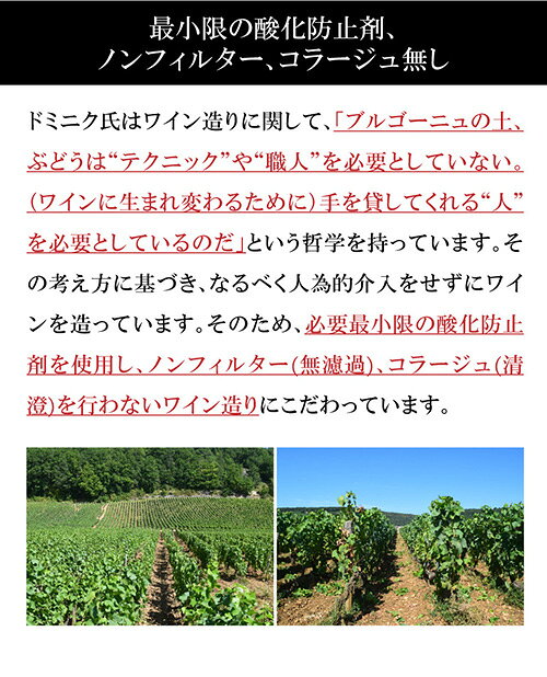クレマン ド ブルゴーニュ ドミニク ローラン 750ml 正規品 フランス ブルゴーニュ 白泡 辛口 ギフト スパークリングワイン 浜運A 手土産 お祝い ギフト ワイン cellar-10032062 ワイン&ワインセラー セラー専科 サンプル画像3