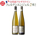 1本あたり3,250円(税込)送料無料 フェルナン エンジェル2本セットフランス アルザス 白ワイン 浜運A ビオ BIO 送料無料 手土産 お祝い ギフト 母...