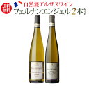 1本当り2,750円(税込) 送料無料 フェルナン エンジェル2本セット フランス アルザス 白ワイン 浜運A ビオ BIO 母の日 お花見 手土産 お祝い ギフト