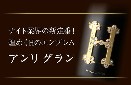 【1本/21,000 円】 送料無料 ナイト業界を席巻中のブランド！ アンリ グラン & ソウメイ ゴールド 2本セット 750ml シャンパン 高級シャンパン soumei 映え ナイト 浜運A ワイン cellar-10035624 ワイン&ワインセラー セラー専科 サンプル画像3