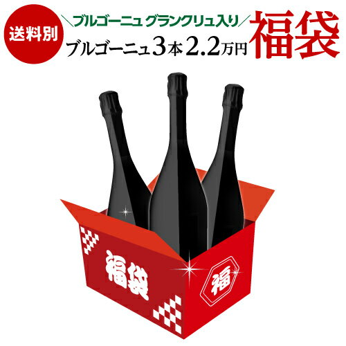 口外禁止！SNS禁止！本当に口外禁止レベルのすごい内容のため送料はご負担ください64,900円相当が入って22,000円！ 2万円(税別)福袋ブルゴーニュ3本セット 特級入りワイン福袋 フランス ブルゴーニュ 浜運【ポイント対象外】