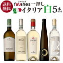 ワイン飲み比べセット 【誰でもP5倍 3/25 0時〜/27 2時】1本あたり1,936円(税込) 送料無料 一押しイタリア白5本セット 750ml 5本入ファインズ 白ワインセット 飲み比べ ワインセット 浜運 あす楽 ホワイトデー お花見 手土産 お祝い ギフト