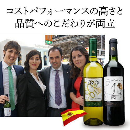 ガバルダ ウノ Gabarda 1(uno)ボデガス ガバルダ 750ml スペイン カリニェナ 辛口 ガルナッチャ シラー ギフト プレゼント 赤ワイン 長S 手土産 お祝い ギフト ワイン