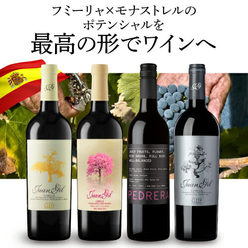 【よりどり6本以上送料無料】ファン ヒル クアトロ メセス サクラ ラベル ボデガス...