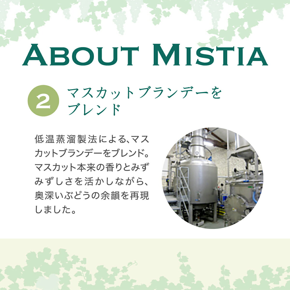 �ߥ��ƥ��� �ޥ����å� �ꥭ�塼�� 15�� 700ml �ޥ����åȥꥭ�塼�� �� �ե�� ��ե�� ���ߥ� �ץ륷�� ĹS