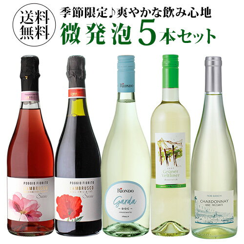 【1本あたり1,100円(税込) 送料無料 キンキンに冷やして飲みたい微発泡セット 750ml 5本入フリッツアンテ ワインセット スパークリング..