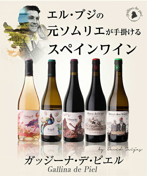 1本あたり2,300 円(税込) 送料無料 ガッジーナ デ ピエル 赤ワイン白ワインロゼ 5本セット 750ml 5本入 スペイン エルブジ 3つ星 有名ソムリエ ワインセット 浜運 送料無料 手土産 お祝い ワイン ギフト ワイン cellar-10033090 ワイン&ワインセラー セラー専科 サンプル画像2