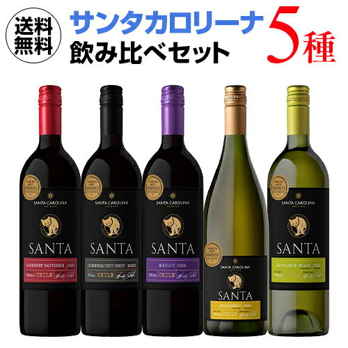 【誰でもP5倍 5/25 0時～/27 2時】送料無料 サンタ バイ サンタカロリーナ 飲み比べ5種セットワインセット 長S 赤ワイン 母の日 手土産 お祝い ワイン ギフト