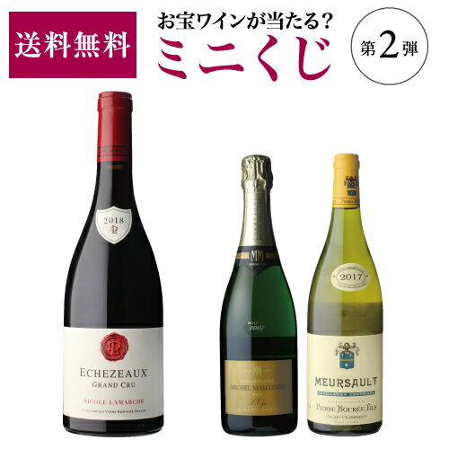予約 2023/10/17以降発送【送料無料】お宝ワインを探せ！ ミニワインくじ 第2弾！【先着50セット】ブルゴーニュ スペイン イタリアお一人様5セットまで くじ Wくじ 赤ワイン 白ワイン 福袋【ポイント対象外】