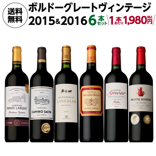 【誰でもP10倍 マラソン中】完売 1本あたり1,980円(税込) 送料無料ボルドー グレートヴィンテージ [2015] & [2016] 750ml 6本入ファインズ フランス ワインセット 浜運 あす楽