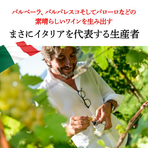 【誰でもP10倍 マラソン中】ラ スピネッタ イル ネーロ ディ カサノーヴァ 750ml イタリア トスカーナ 辛口 サンジョベーゼ ギフト プレゼント 赤ワイン 浜運 手土産 お祝い ギフト ワイン