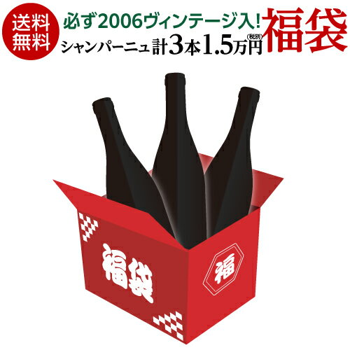 送料無料43,400円(税込)相当が入って16,500円(税込)！シャンパーニュデー シャンパーニュ3本福袋必ず[2006]ヴィンテージシャンパーニュ入り！ワインセット シャンパン 浜運 あす楽 母の日 お花見 手土産 お祝い ギフト【ポイント対象外】