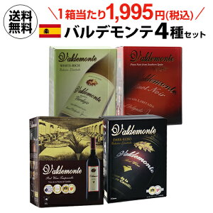 【ボトル換算499円(税込)送料無料】箱ワイン バルデモンテ 4種セット 飲み比べ 4箱 3000ml 3L x 4箱 ボックスワイン 大容量 スペイン 赤ワイン 白ワイン 辛口 ワイン ワインセット 長S