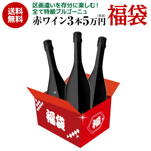 送料無料口外禁止＆SNS禁止 銘醸赤ワイン3本 5万円(税別)福袋 おまけ付 赤 ワイン 浜運