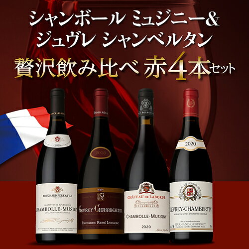 1本あたり10,450円(税込) 送料無料 シャンボール ミュジニー&ジュヴレ シャンベルタン飲み比べ4本セット 750ml 4本入 ファインズ ブルゴーニュ ワインセット 浜運 ワイン cellar-10035015 ワイン&ワインセラー セラー専科 サンプル画像3
