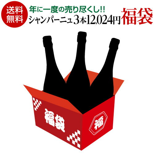 送料無料 シャンパーニュ3本 12,024円 決算 福袋ワイン福袋 シャンパン 辛口 浜運【ポイント対象外】