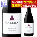 【在庫限りで値上げ予定】【よりどり6本以上送料無料】カレラ ピノ ノワール セントラルコースト 2021 正規品 赤ワイン 長S 母の日 お花見 手土産 お祝い ギフト