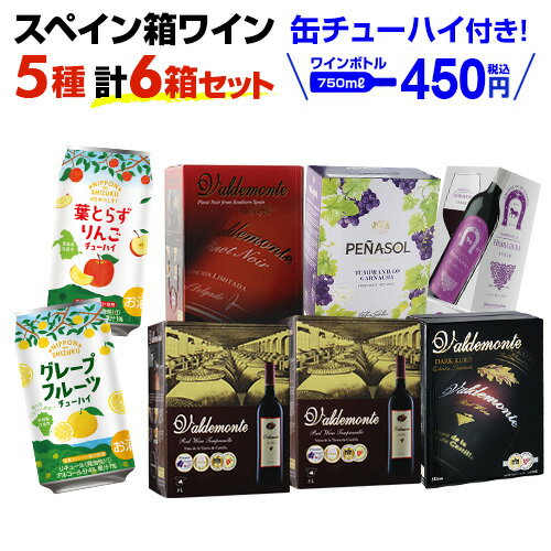 楽天ワイン＆ワインセラー　セラー専科期間限定缶チューハイプレゼント【ボトル換算450円 送料無料】スペイン産 赤だけ箱ワイン 5種6箱セット 10弾 箱ワイン ワインセット 辛口 スペイン BIB 長S