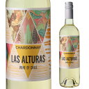 【ラベル不良、汚損につき訳あり特価858円→550円(税込)】ラス アルトラス シャルドネビーニャ カーサ ソリス 750mlチリ 辛口 白ワイン 浜運 アウト...
