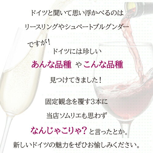 【誰でもP5倍 7/4 20時～/5 24時】1本あたり4,400 円(税込) 送料無料 ドイツでこの品種？ なんじゃこりゃ3本セット 750ml 3本入 ドイツ ファルツ シュナンブラン テンプラニーリョ カベルネフラン ワインセット 浜運A ワイン cellar-10034483 ワイン&ワインセラー セラー専科 サンプル画像3