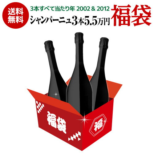 4/5 限定 数量限定送料無料口外禁止＆SNS禁止 シャンパーニュ3本 137,500円相当が入って55,000円!福袋3本全て優良年 [2002]＆[2012]ワイン福袋 フランス シャンパーニュ 浜運【ポイント対象外】