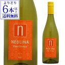 【よりどり6本以上送料無料】ネブリナ シャルドネ VCSワイナリー 750ml チリ コノスル 辛口 セントラル ヴァレー シャルドネ 白ワイン 長S 母の日 お花見 手土産 お祝い ギフト