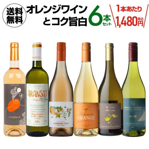 【今だけ500円OFF！1本当り1,397円！送料無料】オレンジワインとコク旨白6本セット 第9弾 750mlワインセット 浜運 おすすめオレンジワイン【ポイント対象外】