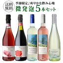 1本あたり1,188円(税込) 送料無料キンキンに冷やして飲みたい微発泡セット 750ml 5本入フリッツアンテ ワインセット スパークリングセット 泡 ワイン スパークリング 送料無料 手土産 お祝い ギフト お中元 御中元 浜運A