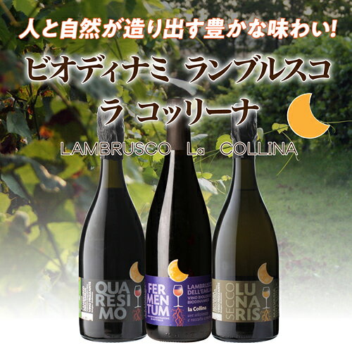 【よりどり6本以上送料無料】ランブルスコ クアレシモ フリツァンテ IGT デッレミーリア ラ コッリーナ N+ 750ml イタリア 微発泡 赤泡 スパークリングワイン フリッツァンテ オーガニック ビオディナミ ビオ 浜運A お祝い ギフト ワイン cellar-10026732 ワイン&ワインセラー セラー専科 サンプル画像3
