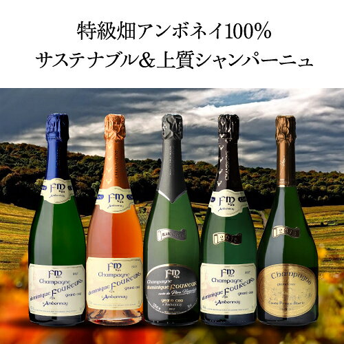 送料無料 ドミニク フルール キュヴェ プリンス アラリック グランクリュ [2013] 750ml ミレジム 特級 シャンパン 辛口 シャンパーニュ 浜運 ワイン cellar-10033533 ワイン&ワインセラー セラー専科 サンプル画像3