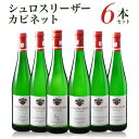 送料無料 シュロスリーザー カビネット 6本セット750ml 6種各1本 ドイツ 白ワイン ワインセット 甘口 モーゼル 虎姫 ※他商品との同梱不可 母の日 お花見 手土産 お祝い ギフト