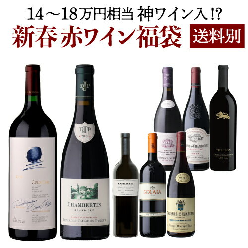 極の赤ワイン福袋 1本入 運が良ければ 1本 18万円相当 神 ワイン入！【先着400セット限り】赤ワイン リカーマウンテン 福袋 Wくじ 送料別 【お一人様10本まで】【ポイント対象外】