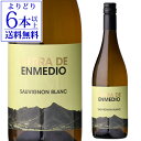 【誰でもP5倍 9/30限定】【よりどり6本以上送料無料】シエラ デ エンメディオ ソーヴィニヨンブラン 750mlスペイン フミーリャ 辛口 ワイン 白ワイン 白 浜運A