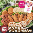 母の日カード付 送料無料 松野下蒲鉾 ありがとうさつま揚げ詰め合わせ 500g 贈り物 贈答用 食べ物 薩摩揚 クール代込 産地直送 冷蔵 松野下蒲鉾(産直) ...