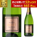 1本あたり665円(税込) 送料無料プルビウム ブリュット ナチュレ オーガニック 750ml 12本入スペイン スパークリングワイン 浜運A