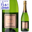 【誰でもP5倍 9/30限定】【よりどり6本以上送料無料】プルビウム ブリュット ナチュレ オーガニック ヴィセンテ ガンディア 750mlスペイン マカベオ シャルドネ 白泡 辛口 スパークリング 浜運A