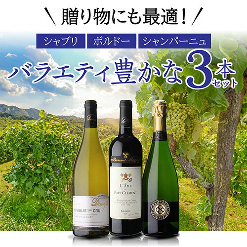【誰でもP5倍 7/19 20時～/20 24時】1本あたり5,600円(税込) 送料無料 贈り物にも最適！ フランス銘醸地 バラエティ豊かな 3本セット 750ml 3本入 3弾 フランス シャンパーニュ シャブリ ボルドー ワインセット 浜運A ワイン cellar-10035031 ワイン&ワインセラー セラー専科 サンプル画像2