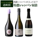 シャンパン 特選 7777 シャンパン福袋 24弾 高級シャンパン を探せ! 超レアシャンパンが入っているかも!? 【先着300セット】 マルゲ セドリックブシャール ウーリエ リカーマウンテン 福袋 WK 【送料別】
