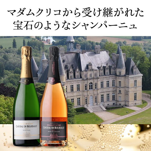 送料無料 シャトー ド ブルソー ロゼ ド セニエ ブリュット NV 正規 箱なし NM 750ml ブルソー シャンパーニュ 辛口 シャンパン 浜運A ワイン cellar-10036976 ワイン&ワインセラー セラー専科 サンプル画像2