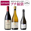 【送料無料】お宝ワインを探せ! プチ福袋 第15弾!第15弾は7/24 20時~販売開始予定【先着200セット】お一人様5セットまで WK 赤ワイン 白ワイン リカーマウンテン 福袋 お中元 御中元予約 2025/8/5以降発送予定