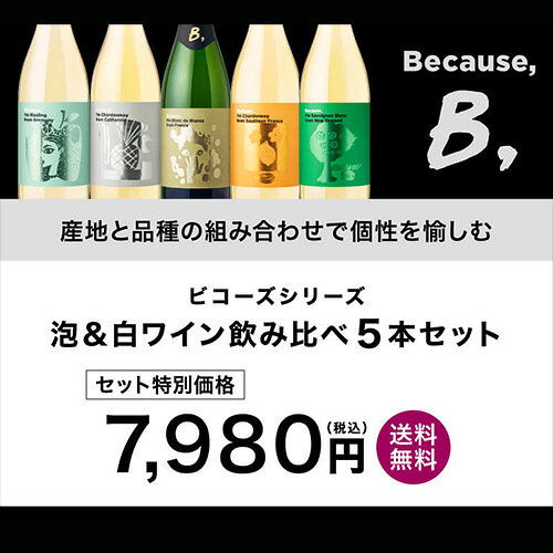 1本当たり1,596円(税込) 送料無料 ビコーズシリーズ 泡＆白ワインだけ5本セット 750ml 5本入 ギフト 飲み比べ フランス アメリカ ドイツ ニュージーランド ワインセット 長S ワイン cellar-10037007 ワイン&ワインセラー セラー専科 サンプル画像2