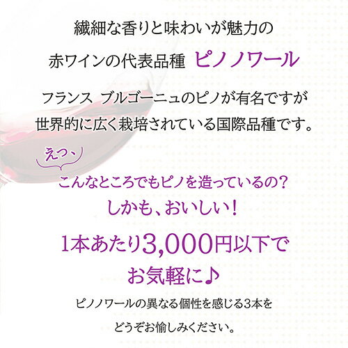 1�ܤ�����2,300��(�ǹ�) ����̵�� �����奢��˰������ �͵��ʼ� �ԥ� �Υ�� 3�ܥ��å� 2�� 750ml 3����� �����ꥢ ����ꥫ �ԥ� �Υ�� �֥磻�� �磻�󥻥å� �ͱ� �磻��ڥݥ�����оݳ���