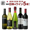 【誰でもP3倍 4/30中】送料無料 日本ワイン5本セット ワインセット 日本ワイン 国産 ワイン 母の日 お花見 手土産 お祝い ギフト