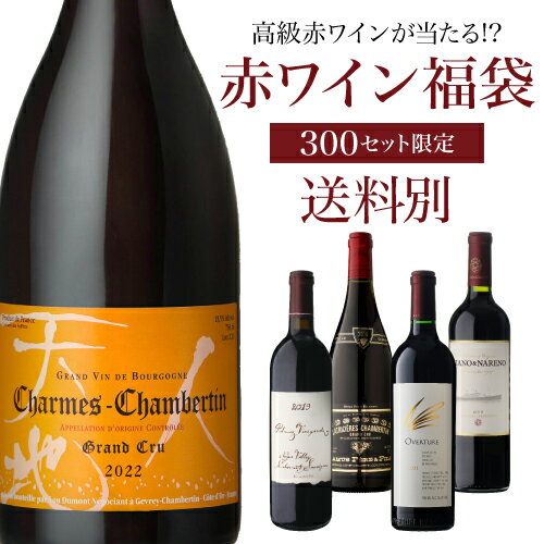 【送料別】高級ワインを探せ！ 赤�