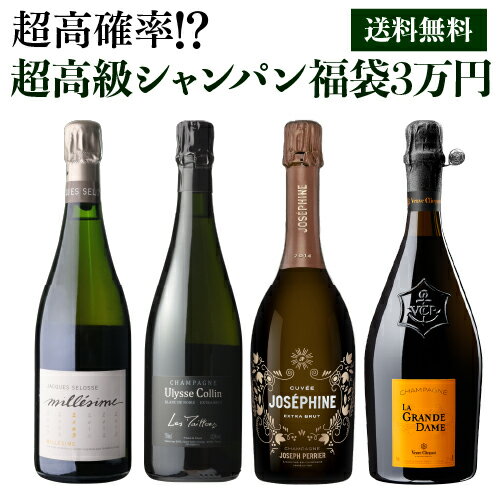 送料無料 高級 シャンパン 福袋 3万円 1本35万相当 ジャックセロス 2009入！ 【先着50本】シャンパン ボランジェ ヴーヴクリコ WK くじ 福袋 リ...