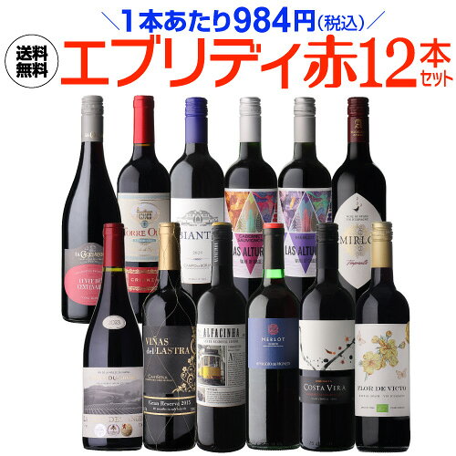 【1本あたり984円 送料無料】エブリデー赤ワイン12本セット 24弾 ワイン ワインセット コスパ 赤ワインセット 人気 赤 辛口 赤泡 フランス イタリア スペイン チリ 浜運A 手土産 お祝い ギフト