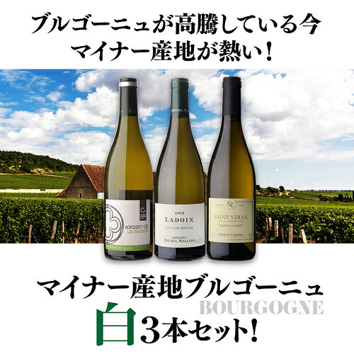 1本あたり6,600円(税込) 送料無料 マイナーブルゴーニュ白3本セット 8弾 750ml ラドワ モンタニー サン ヴェラン ワインセット 浜運 cellar-10025804 ワイン&ワインセラー セラー専科 サンプル画像3