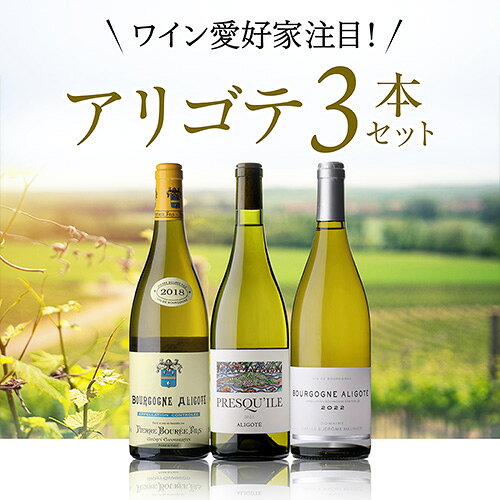 1本あたり4,400円(税込) 送料無料 ブルゴーニュ アリゴテ 3本セット 6弾 750ml 3本入 フランス 品種飲み比べ ワインセット 浜運A ギフト cellar-10029655 ワイン&ワインセラー セラー専科 サンプル画像2